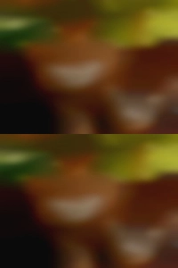 Whitesoxboy, sex