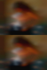 theolaphenix68, woman of